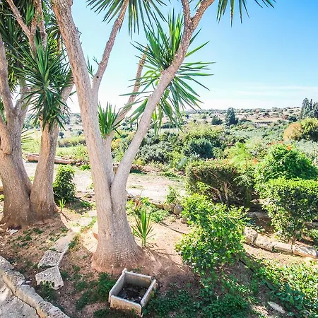 Orchard View