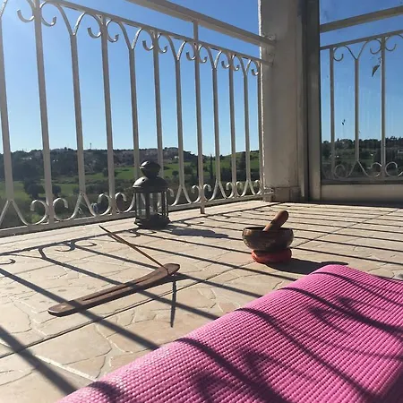 Orchard View Maroni