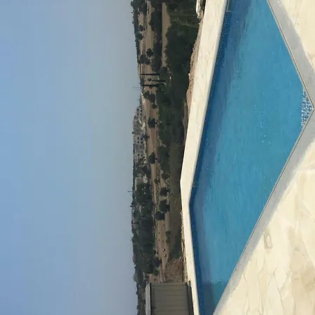 Orchard View *