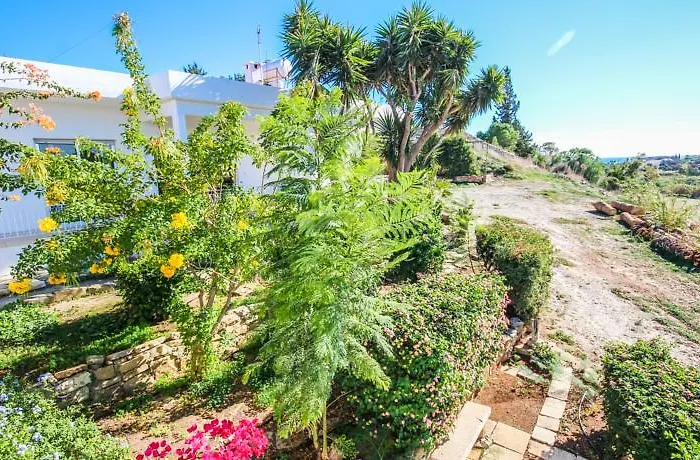 Orchard View * Maroni